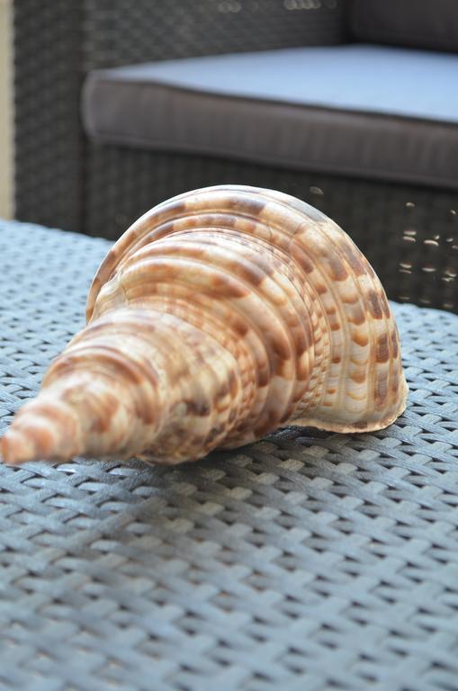 Ammos Beach Glífa 외부 사진